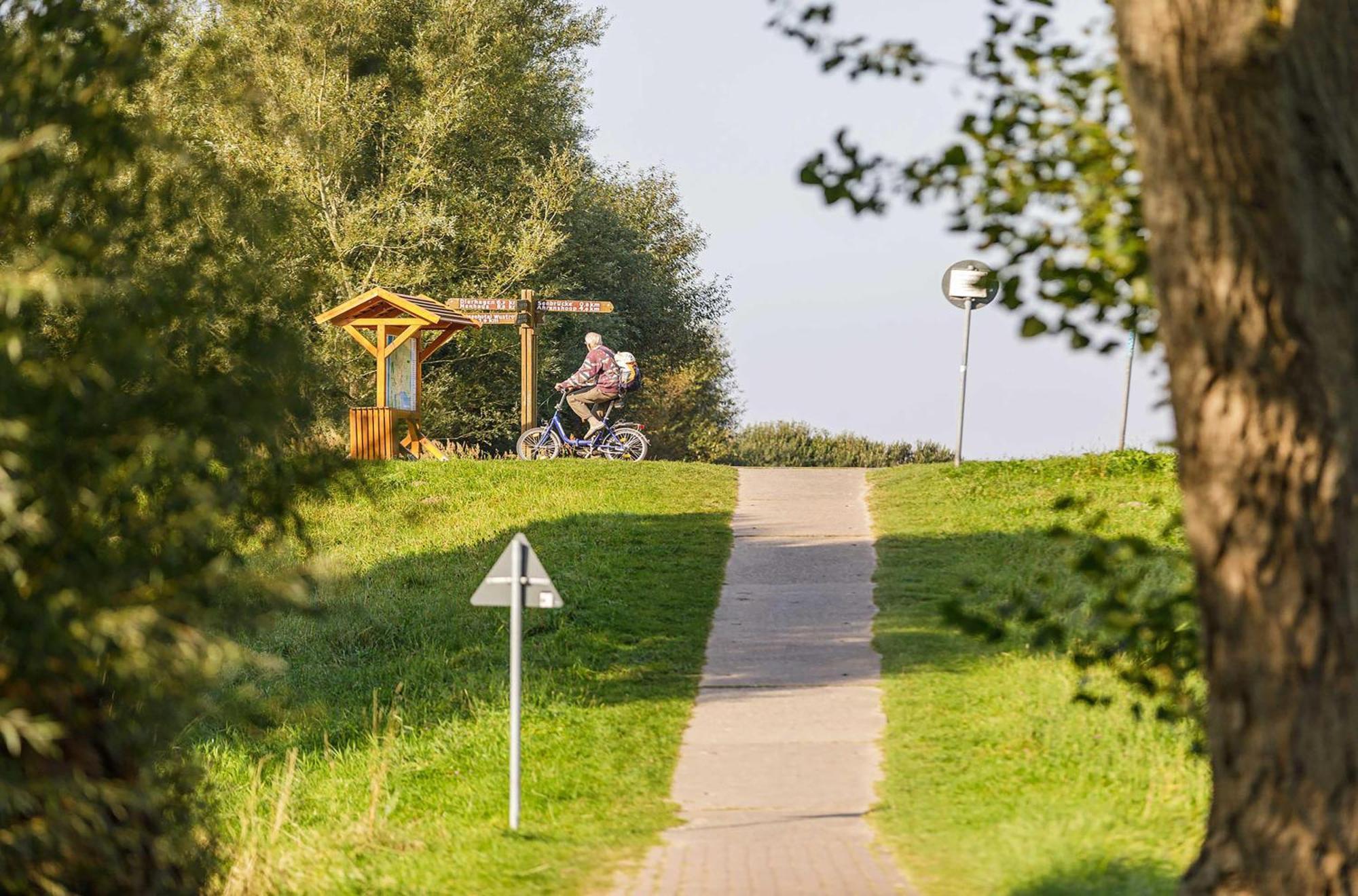Seeschwalbe In Der Alten Seefahrtschule Wustrow  Kültér fotó
